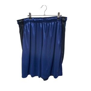 Nike Shorts Men's Size XXL Blue Dri Fit Training